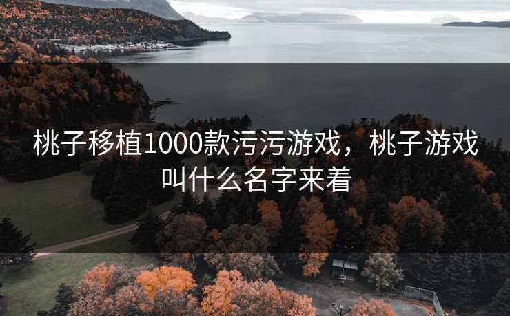 桃子移植1000款污污游戏，桃子游戏叫什么名字来着