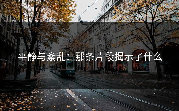 平静与紊乱：那条片段揭示了什么